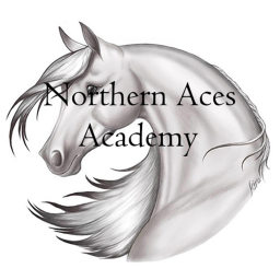 Northern Aces Academy Home-store