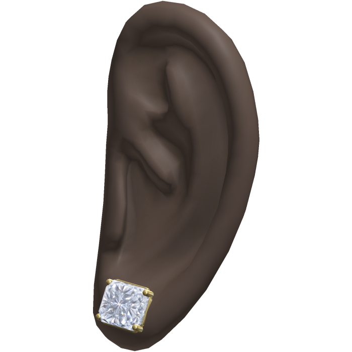Diamond Stud Earrings Ears