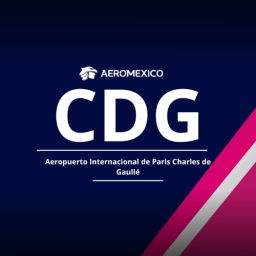 Paris Charles de Guallé International Airport.