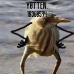 YØTTEN.