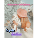 Sophie-sop-group