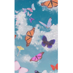 s o f t i e s ~
