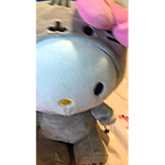 Robux and outfit