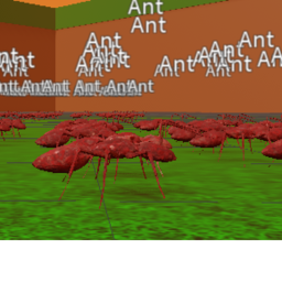 SAVE THE QUEEN ANT!!!