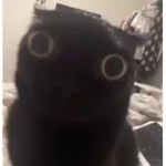 ミventiqas彡