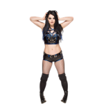 Official Fans Of Wwe Diva Paige