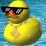 The DuckClub