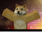 # Team Doge #