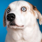 Mexican_GamerYT Group