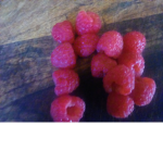 The Berry Fruit Group!