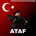 | IEGM | Trafik Şube