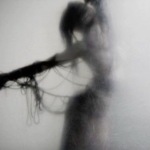 veil of the Fog
