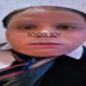 life of a schoolboy