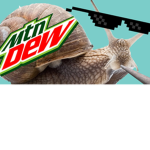 SnailGang