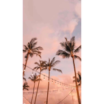 Sky:))