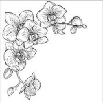 The Ash of the Orchids