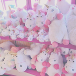 Nellys kittys