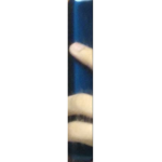 BlueDroid