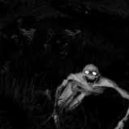 THe UNknowN