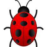 Spiders are bugs!