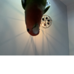 Idont know what to poop