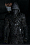 Kingdom of black knights
