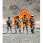 NavalFamily