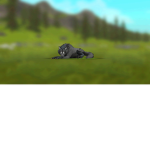 Join if you like wolf and animals