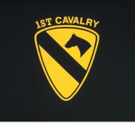 1ST CALVARY DIVISION 1990'S