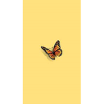 Cinnimon