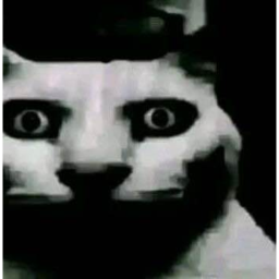 what this