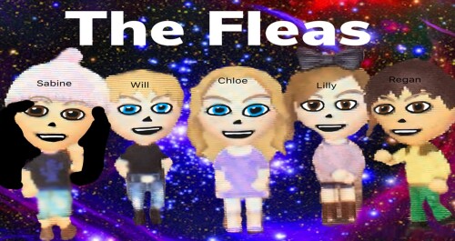 The Fleas Stadium