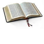 Rule Book of war