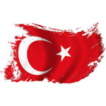 Türk Kardeşleri