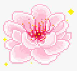 seaflowers