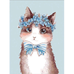 Queen Mittens The Cuddley Kitten