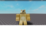 poke fan group and fighting for ROBLOX