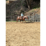 Horses and me!