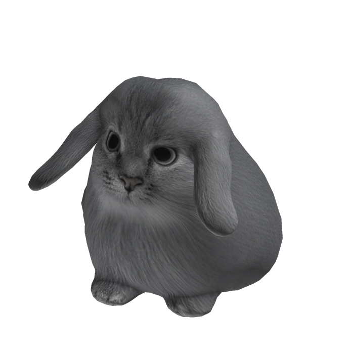 Cabbit
