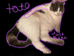 The official Tato group