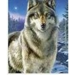 cool wolf fan's