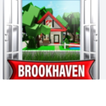 Groups brookhaven