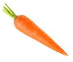 CARROT_CLAN_OF_DESTINY