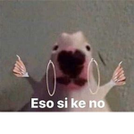para ropa :)