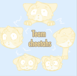 Team Cheetahs