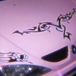 ✧･ﾟ: *✧･ﾟ:* 