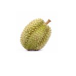 DURIAN ARMY