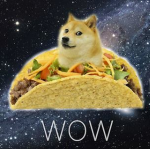 tacos doge group タコスドージー グループ
