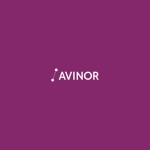 Avinor Airways