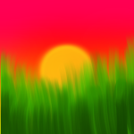 Sunfløwer Seeds